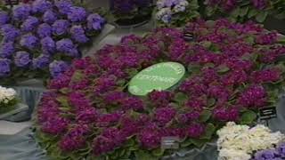 RHS Chelsea Flower Show | 1992 | Full Episode | BBC