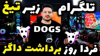 فردا داگز رسما عرضه میشود  |  داگز DOGS | خبر بازداشت رئیس تلگرام پاول دورف ⚠️