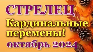 СТРЕЛЕЦ - ТАРО ПРОГНОЗ на ОКТЯБРЬ 2024 - ПРОГНОЗ РАСКЛАД ТАРО - ГОРОСКОП ОНЛАЙН ГАДАНИЕ