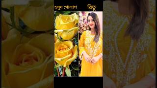 Gyus তোমাদের পছন্দের হলুদ গোলাপ কোনটি? #viral