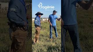 Treinamento Manejo de Pastagem para Nelore IF - Fazenda Porto do Campo