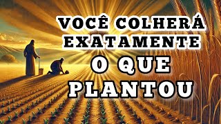 TUDO O QUE FAZEMOS AQUI TRARÁ CONSEQUÊNCIAS PARA NOSSA VIDA || A LEI DA SEMEADURA. IvanFerreira