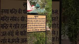 Highest Mata Mandir ❣️In Neelkant  #viralvideo #neelkanthtemple #uttrakhand #trendingshorts #short