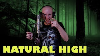 Hammerfall - Natural high (vocal cover)