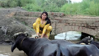 Behnso Ko Nehar Mein Nehlaya | Pakistan Beautiful Village | Old & Beautiful Culture Of Punjab