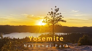 A Day In Yosemite National Park