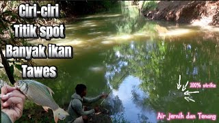 CARA MENCARI TITIK SPOT IKAN TAWES DI AIR JERNIH. #mancing #mancingtawes