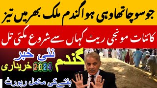 Today Wheat price in punjab//گندم کا ریٹ 2024/munji makki till sarso | wheat rates galamandi