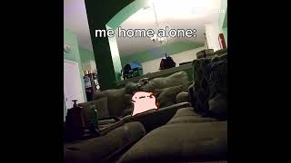 me when im left home alone: