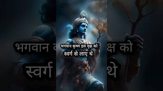 भगवान कृष्ण इस वृक्ष को स्वर्ग से लाए थे #shorts #mahabharatkrishna #hinduism