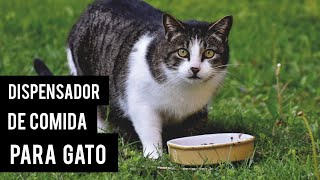 como hacer un dispensador de comida para gatos con botellas