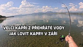 Jak ulovit kapry v září během teplého počasí. Zářijový lov kaprů. Lov kapra na boilies.