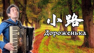 Дороженька｜Russian Folk Song｜Accordion cover