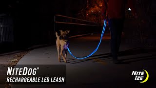 NiteDog® Rechargeable LED Leash (Blue, Green, and Red)