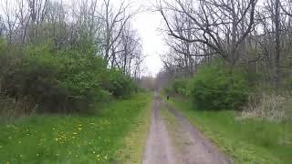 Prayer for a Spiritual Canopy