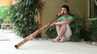 "JF456" Agave Didgeridoo by James Felgar