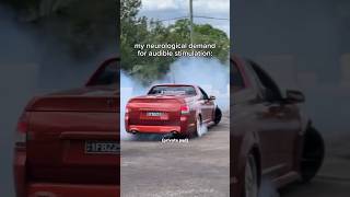 I require sound 🔊🔥 #viral #shorts #holden #v8 #cars #funny