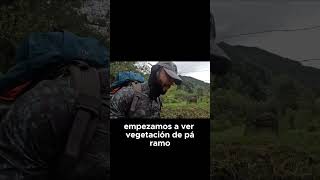 Transición al páramo  ¡Observa el cambio de vegetación en la montaña #travel #turismocolombiano #tur