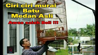 Ciri Asli Murai Batu Medan