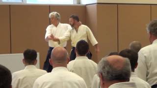 Kosa dori Irimi nage by Y. Yamada - Sofia 2017