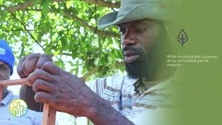 Historias de Abejas en Jamaica - Willie Brown, emprendedor apicultor