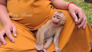 Baby Angela cry shaking body nearby mom asking for milk, baby looks starving