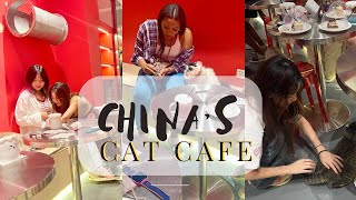 CAFE HOPPING IN CHINA AND EATING WITH CATS!