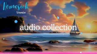 Homesick - By Waesto (No Copyright Music)Tropical house.🎼The best music for traveling and adventure.