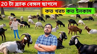 20 টা ব্ল্যাক বেঙ্গল ছাগলে-কত খরচ- কত ইনকাম।