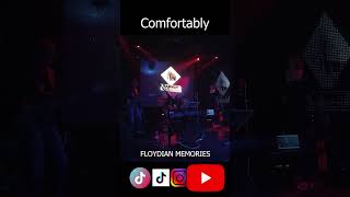 Comfortably Numb - Floydian Memories