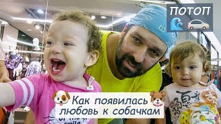 Наводнение в Паттайе и выставка собак в Роял Гарден Плаза | Влог | Таиланд - Паттайя