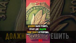 ЗАЧЕМ Хрущев сажал КУКУРУЗУ? #shortshistory Краткая история #history #shorts