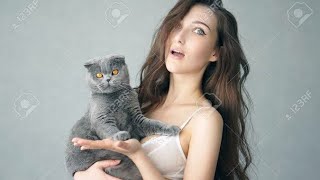 Baby Cats - Cute cat funny video compilation,kitten kutu mawoo,