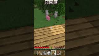 I Found Pink Sheep 0.000000001% Chance #shorts #minecraft #short #youtubeshorts #trending