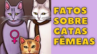 9 Fatos Fascinantes Sobre As Gatas Fêmeas - Dica Animal