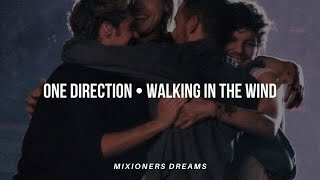 One Direction • Walking In The Wind (Sub.Español)