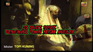 Gara gara Singgah di Pohon Rimbun Sosokx terganggu