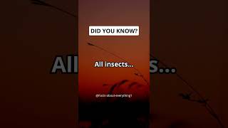 All insects... #shorts #facts