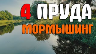 #63 МормоТЕСТ | НОВЫЕ ПРУДЫ | #мормышинг #nanojig #рыбалка #fishing