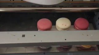 macaron printer, edible food printer for macaron shells, edible ink food printer