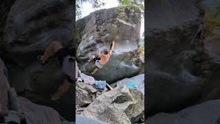 Octopussy 8A / V11 - Magic Wood, Switzerland