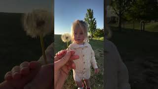 Little Girl Tries to Blow on Dandelions - 1534082