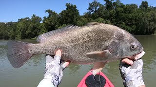 Phenomenal Day Fly Fishing - Lower Colorado River in Utley, Texas