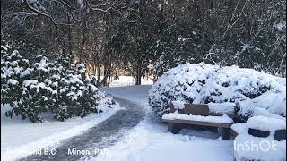 Minoru park in winter