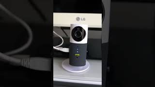 Clever Dog Camera Camera (Wireless Network) Camera Made Portable!