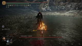 EldenRing Malenia boss NG+7 speedkill no hit