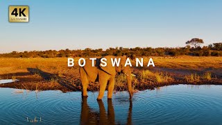 Botswana from Above 4K UHD - A Cinematic Drone Journey