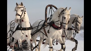 Бубенцы романс