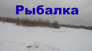 рыбалка на торфяных разработках 2021