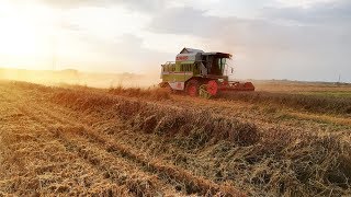 Rok w 8 minut, czyli podsumowanie sezonu 2019| w CLAAS, URSUS, ZETOR i NEW HOLLAND